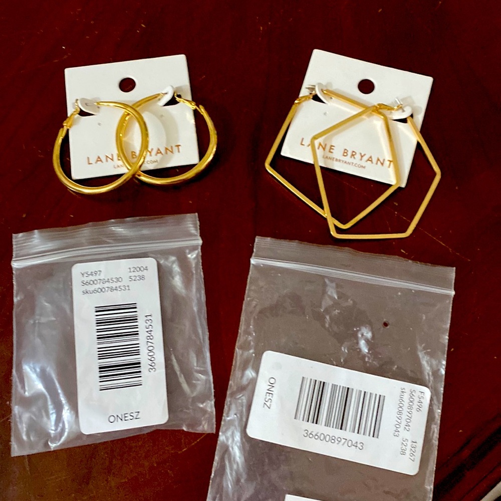 2-pack of Lane Bryant brand hoop earrings.